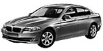 BMW F10 P3489 Fault Code